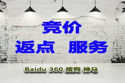 百度推广案例：成功打造行业领军品牌